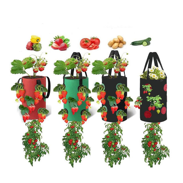 Hanging Strawberry & Tomato Grow Bags (3-Gallon, 4-Pack)
